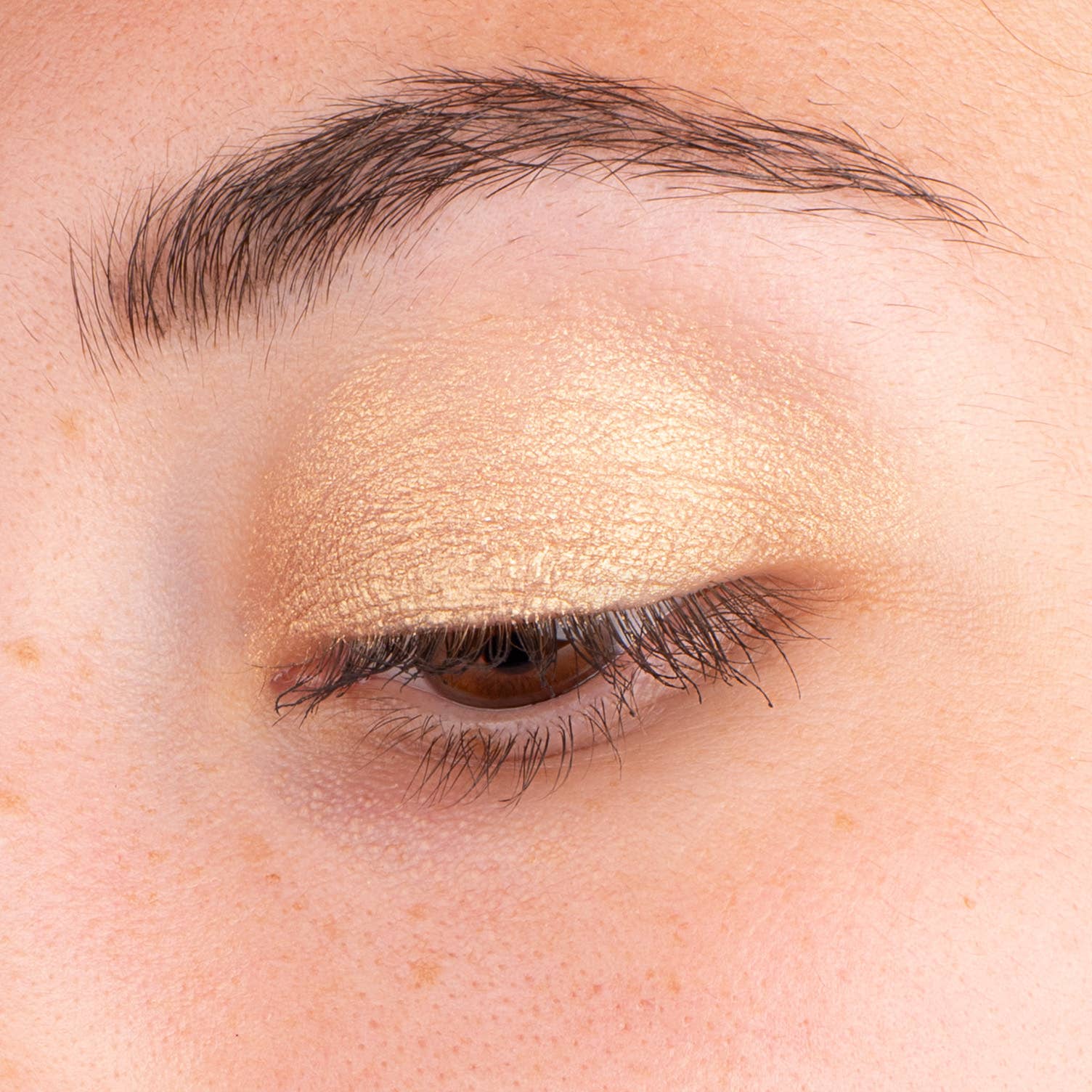 La Crique Golden Honey Eyeshadow & Highlighter