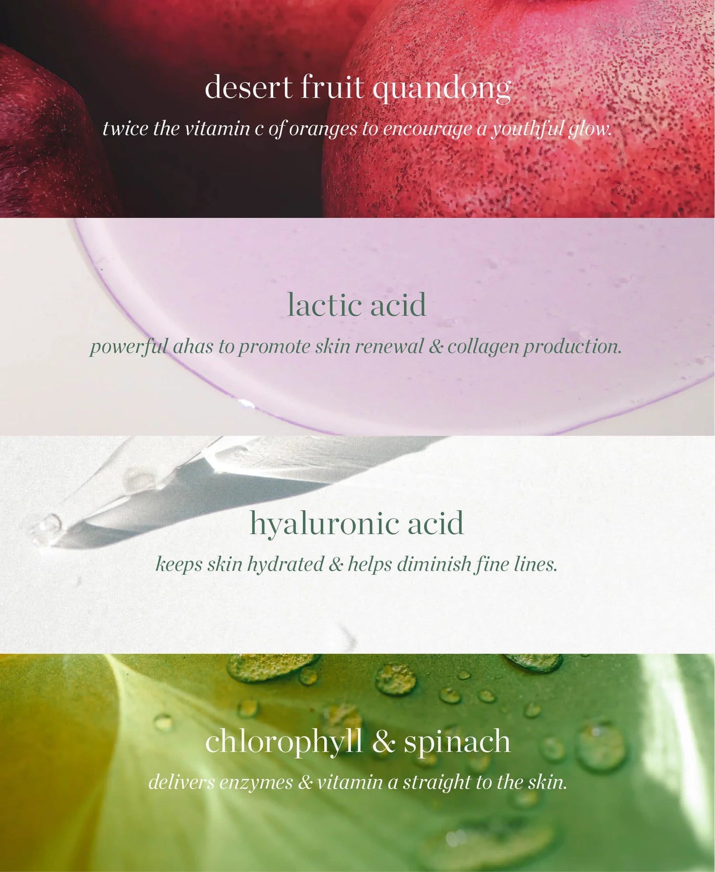 Quandong Green Booster Serum ERE PEREZ