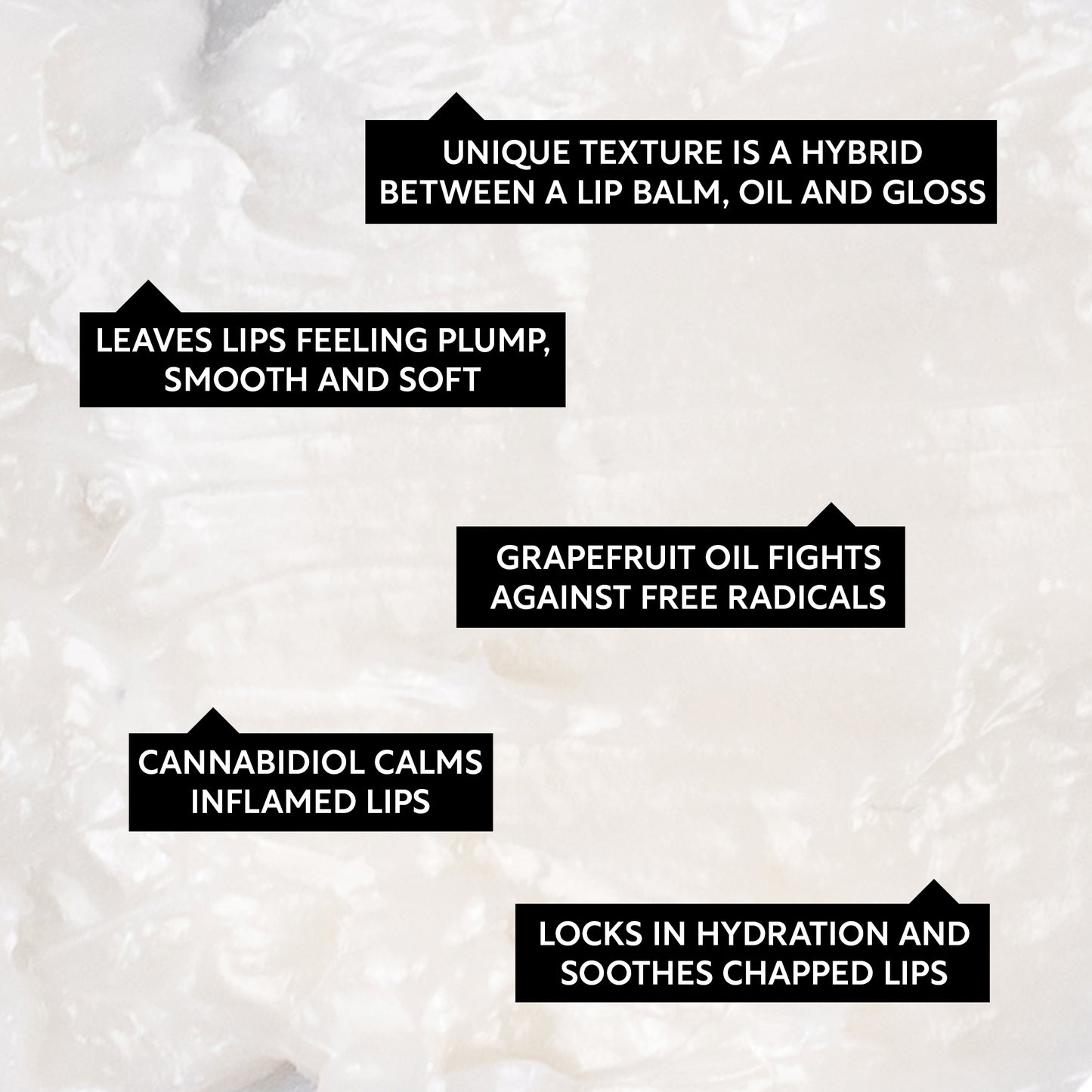 Lip Balm with Hemp Seed Oil + Shea Butter