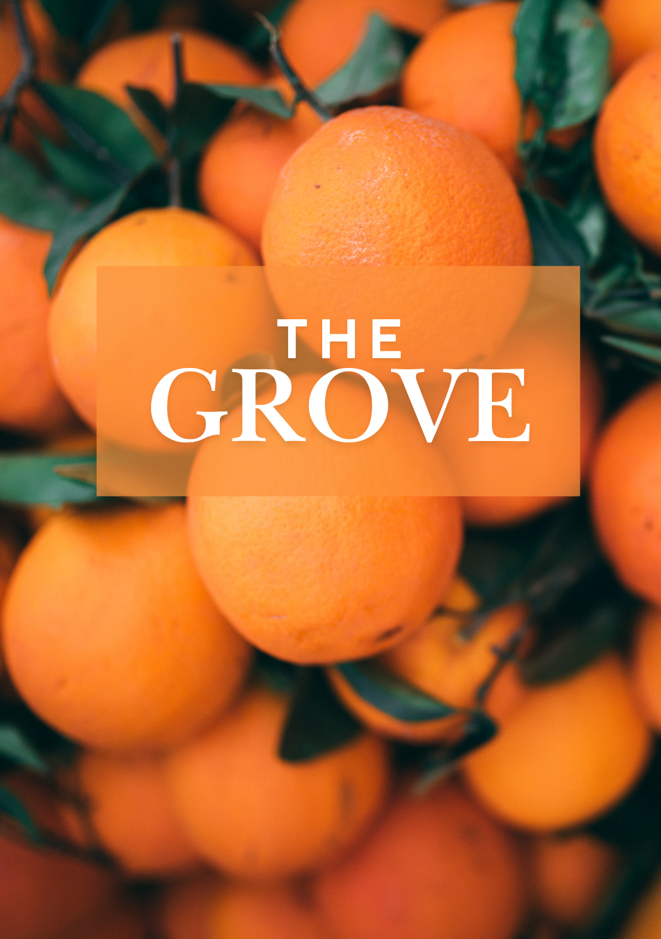 The Grove Collection